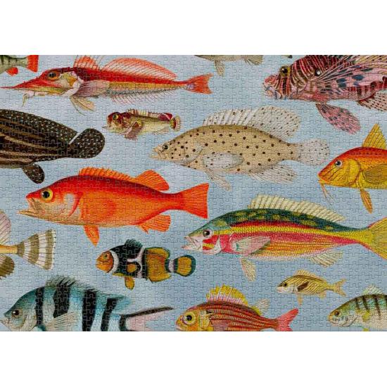 Cloudberries Aquatic 1000-teiliges Puzzle