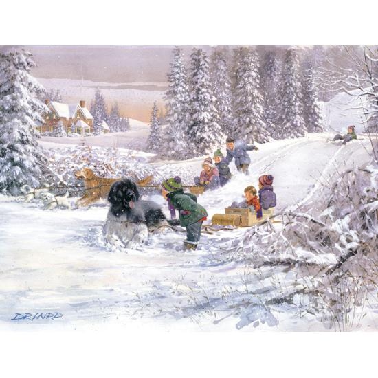 Cobble Hill Puzzle Now Don't Pair 500 Teile