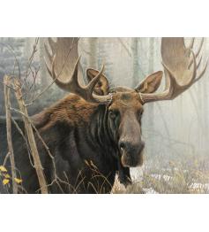 Cobble Hill Bull Moose Puzzle 500 Teile