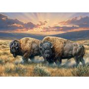 Cobble Hill Puzzle Bisons on the Plains 1000 Teile