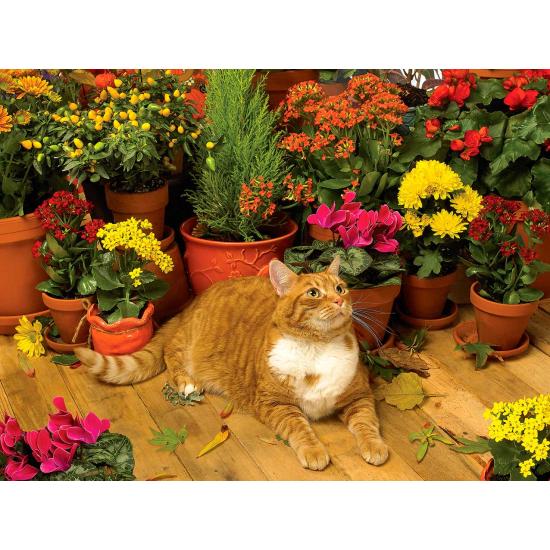 Cobble Hill Autumn Breeze Puzzle 500 Teile Cobble Hill Autumn Breeze Puzzle 500 Teile