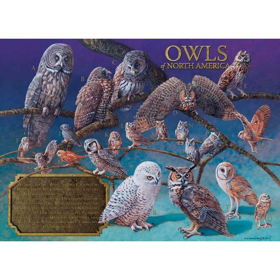 Cobble Hill Owls of North America Puzzle 1000 Teile