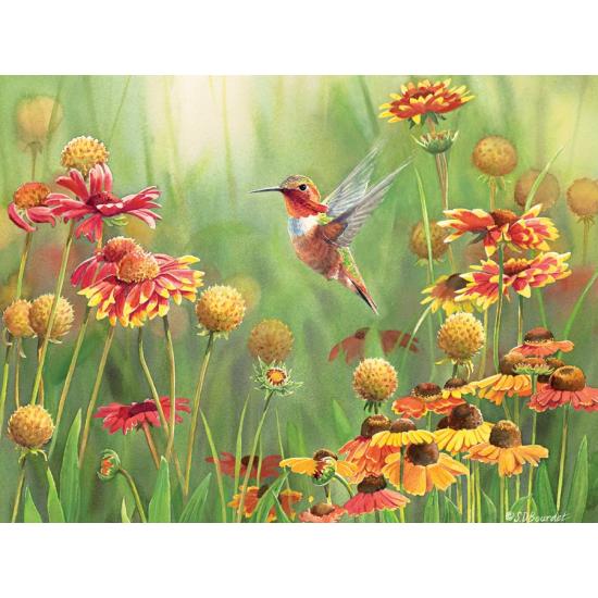 Cobble Hill Puzzle Kolibri unter den Blumen 500 Teile XXL