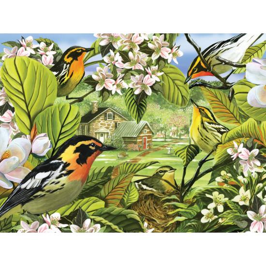 Cobble Hill Puzzle Black and Red Warblers 500 Teile
