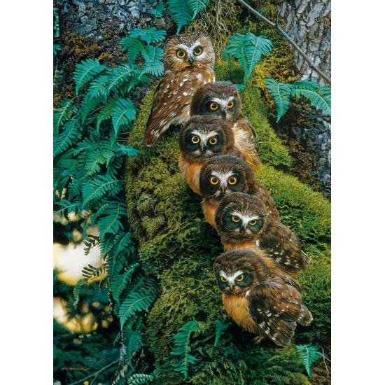 Cobble Hill Puzzle Eulenfamilie im Baum 1000 Teile