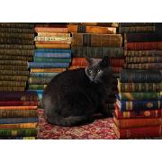 Cobble Hill Library Cat 1000-teiliges Puzzle