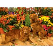 Cobble Hill Guardians of the Flowers Puzzle 1000 Teile