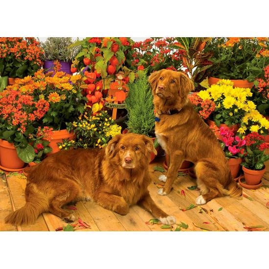 Cobble Hill Guardians of the Flowers Puzzle 1000 Teile