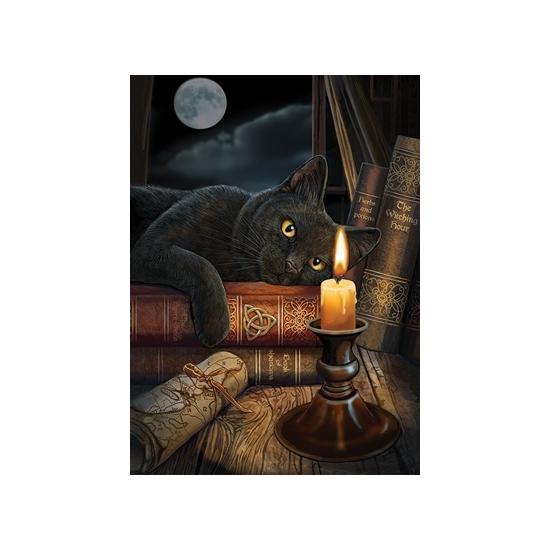 Cobble Hill Puzzle The Witching Hour 1000 Teile