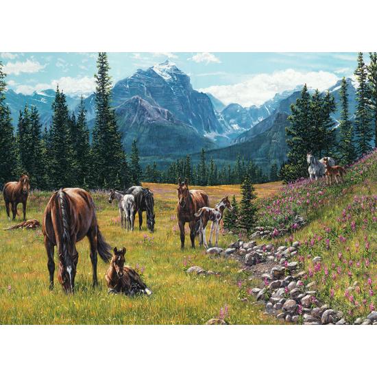 Cobble Hill The Horse Prairie Puzzle 1000 Teile Cobble Hill The Horse Prairie Puzzle 1000 Teile