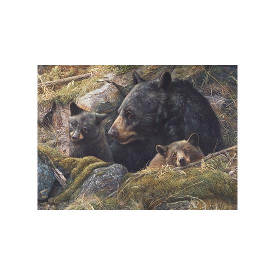 Cobble Hill Puzzle My Two Loves 1000 Teile