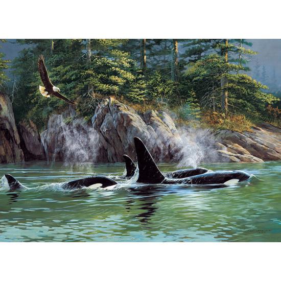 Cobble Hill Orcas Puzzle 1000 Teile Cobble Hill Orcas Puzzle 1000 Teile