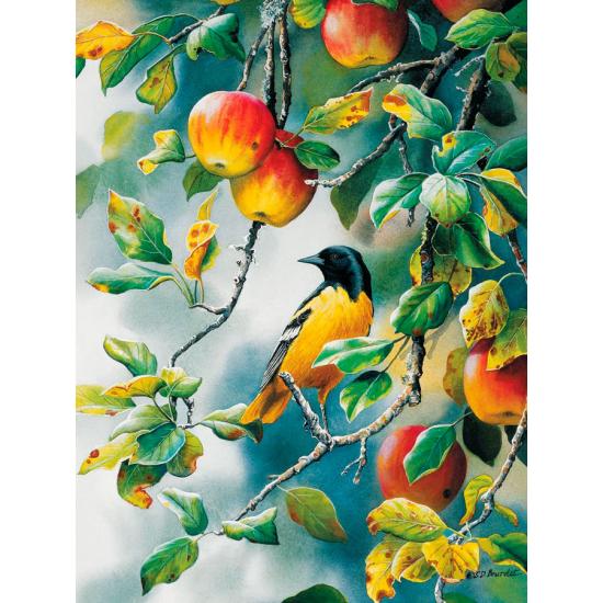 Cobble Hill Northern Oriole 500-teiliges Puzzle