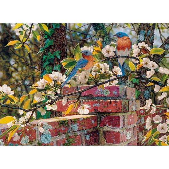 Cobble Hill Puzzle Blue Birds in the Yard 1000 Teile