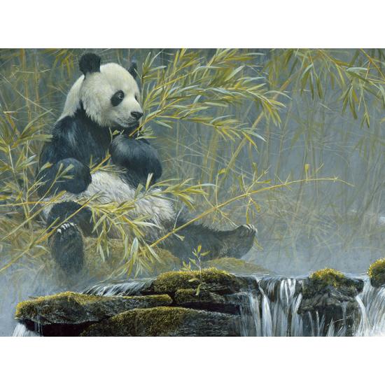 Cobble Hill Riesenpanda-Puzzle mit 500 Teilen