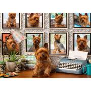 Cobble Hill Puzzle Yorkies Welpen 1000 Teile