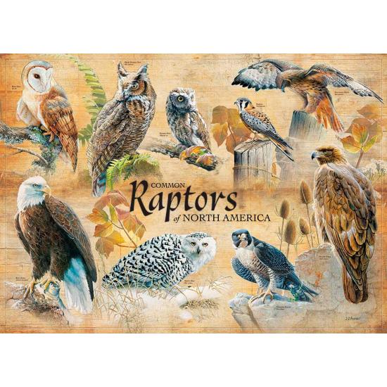 Cobble Hill North American Raptors Puzzle 1000 Teile