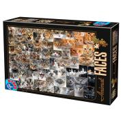 D-Toys Puzzle Tiergesichter, Katzen, 1000 Teile