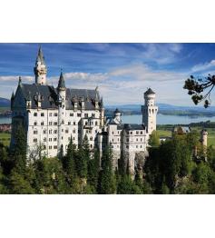 D-Toys Schloss des verrückten Königs, Deutschland 500-teiliges P