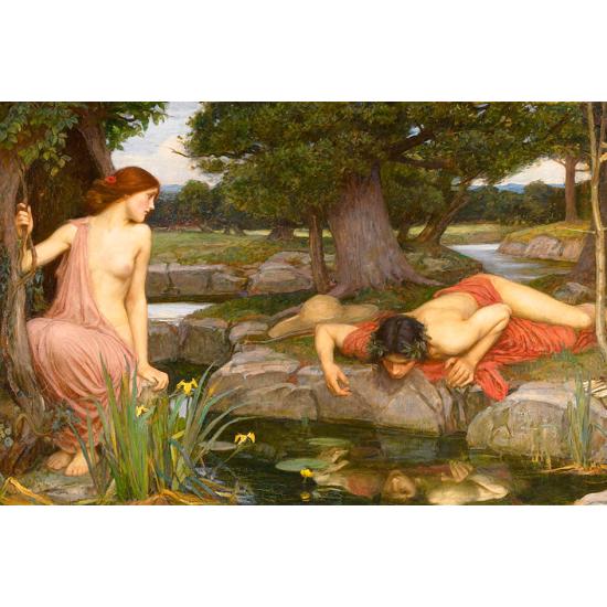 D-Toys Eco und Narcissus 1000-teiliges Puzzle