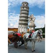 D-Toys Italien Puzzle, Turm von Pisa, 1000 Teile