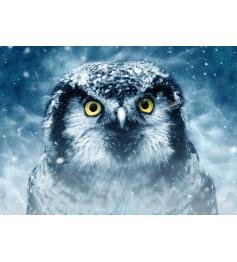 Deico Stare Puzzle 1000 Teile