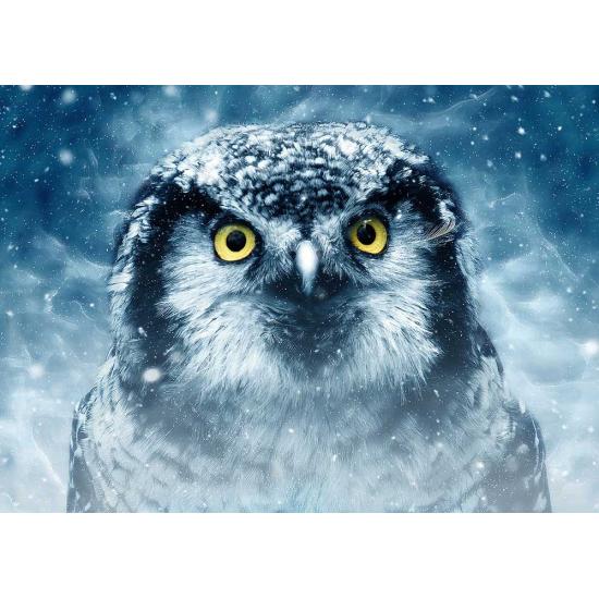 Deico Stare Puzzle 1000 Teile