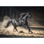 Puzzle Dino Black Horse mit 1000 Teilen