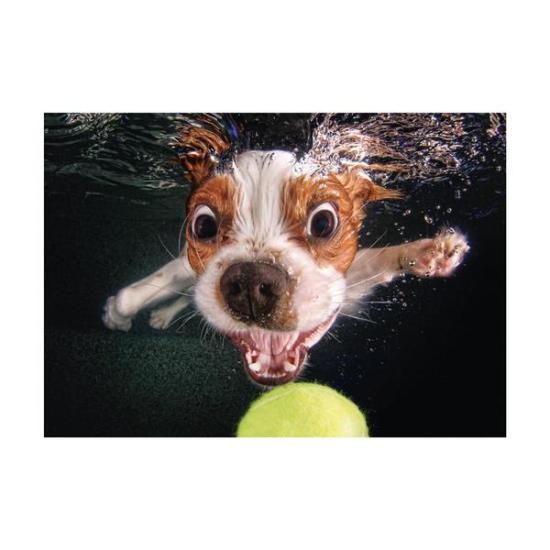 Dino-Welpen-Unterwasserpuzzle 500 Teile