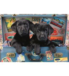 Dino Cubs in a Suitcase Puzzle mit 500 Teilen