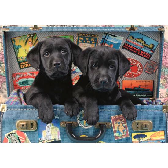 Dino Cubs in a Suitcase Puzzle mit 500 Teilen