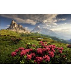 Puzzle Dino Italienische Dolomiten 2000 Teile