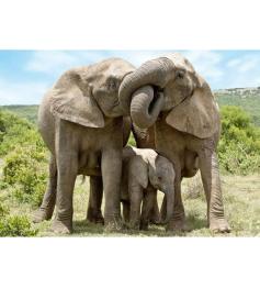 Dino Elefantenfamilie Puzzle 1000 Teile