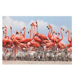 Dino Flamingos Puzzle 500 Teile