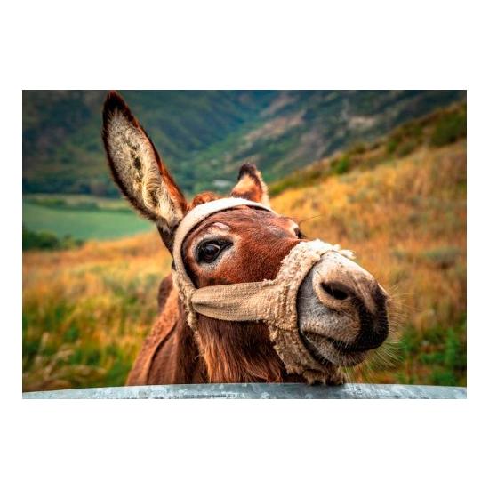 Dino der Esel Puzzle 500 Teile