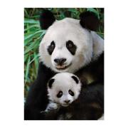 Dino Mutter und Baby Pandabär Puzzle 1000 Teile