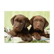 Dino Labrador Hunde Puzzle 500 Teile