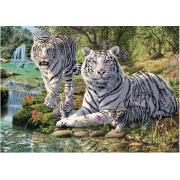 Puzzle Dino Albino Tiger mit 1000 Teilen