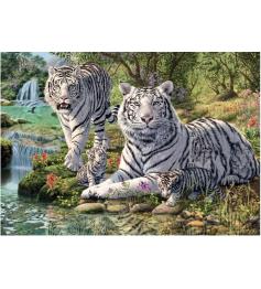 Puzzle Dino Albino Tiger mit 1000 Teilen