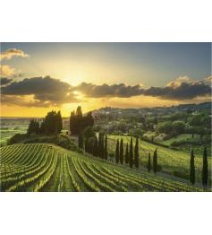 Puzzle Dino Maremma Vineyard mit XXL 500 Teilen