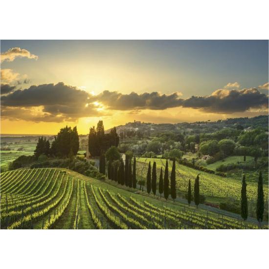 Puzzle Dino Maremma Vineyard mit XXL 500 Teilen