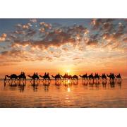 Educa Puzzle Goldener Sonnenuntergang am Cable Beach, Australien