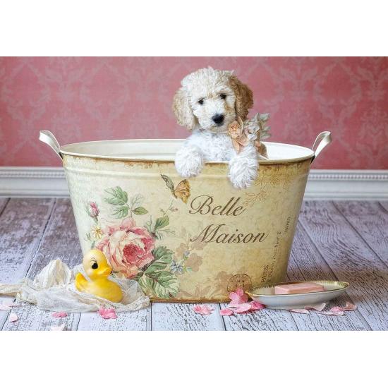 Educa Belle Maison 500-teiliges Puzzle