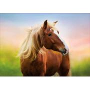 Educa Pferd im Morgengrauen Puzzle 500 Teile