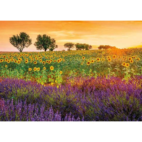 Educa Feld der Sonnenblumen und Lavendel-Puzzle 1500 Teile