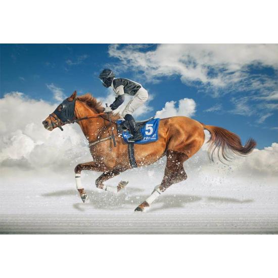 Educa Puzzle Pferderennen im Schnee 1500 Teile