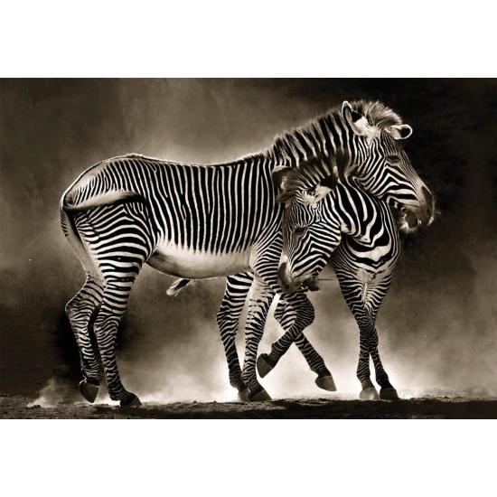 Educa Zebras Puzzle mit 500 Teilen