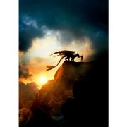 Puzzle Educa How to Train Dragon 1000 Teile