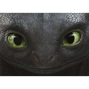 Puzzle Educa How to Train Dragon 500 Teilen