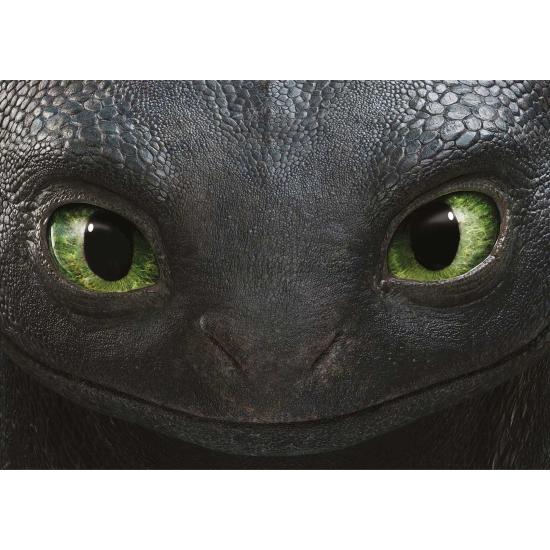 Puzzle Educa How to Train Dragon 500 Teilen